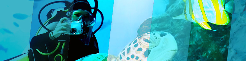 Cum folosim CSS3 Blend Mode | 15 Moduri de Contopire CSS3