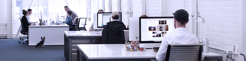 The ideal logo. How should a logo look?